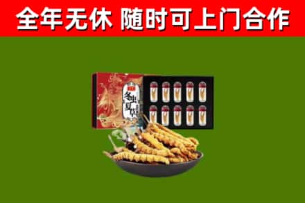 克拉玛依回收冬虫夏草价格